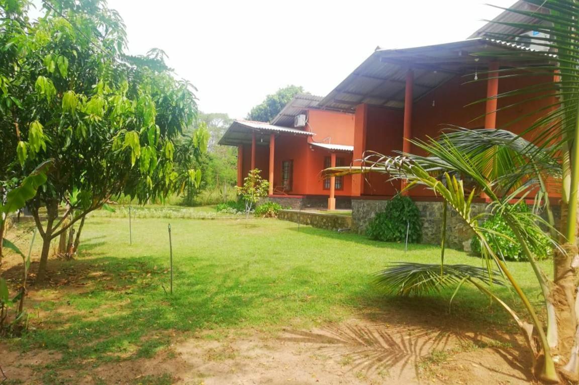 Nil Bawana Nature Resort اوداوالاوي المظهر الخارجي الصورة