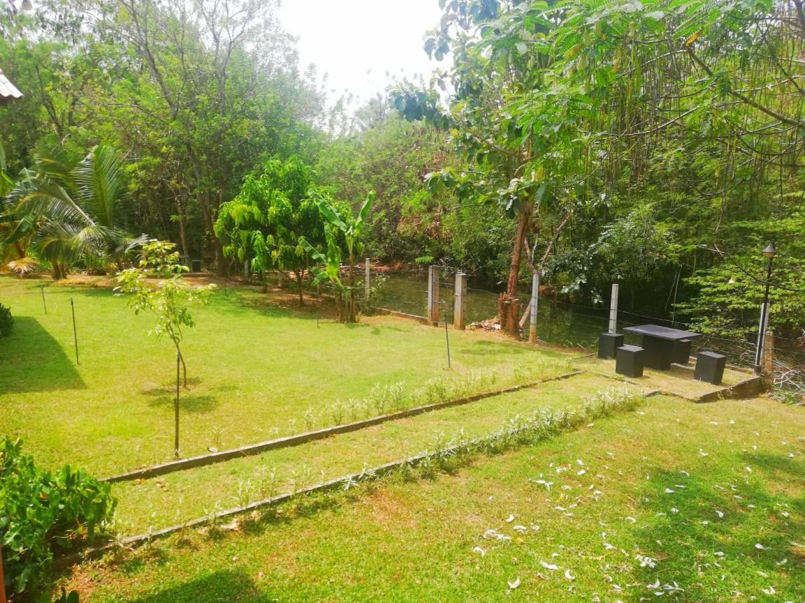 Nil Bawana Nature Resort اوداوالاوي المظهر الخارجي الصورة