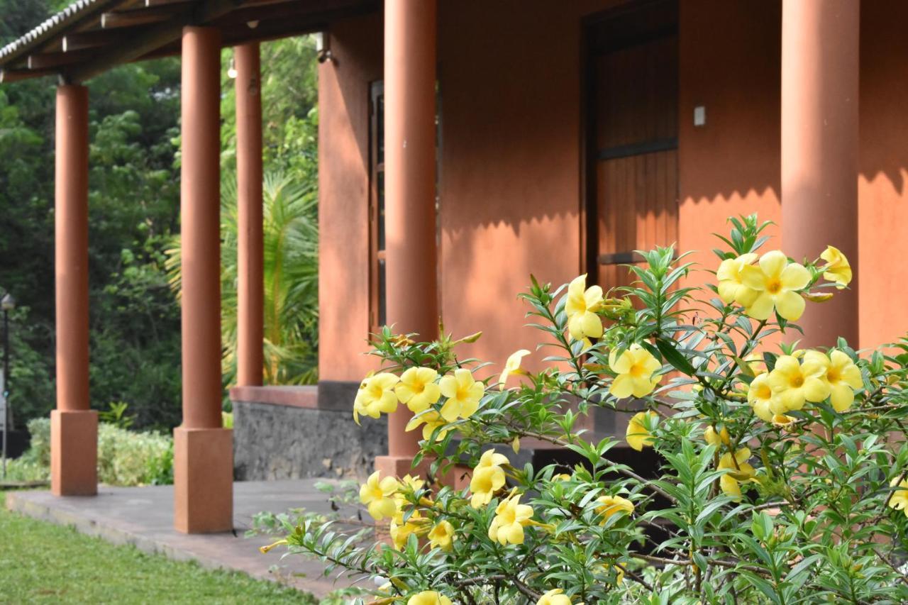 Nil Bawana Nature Resort اوداوالاوي المظهر الخارجي الصورة