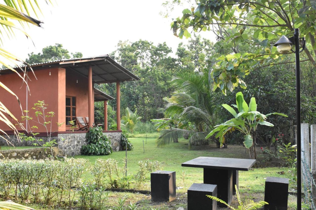 Nil Bawana Nature Resort اوداوالاوي المظهر الخارجي الصورة
